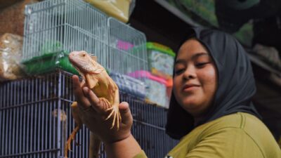 exotic veterinarian 37785422