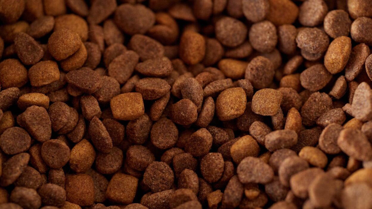puppy nutrition 34952073