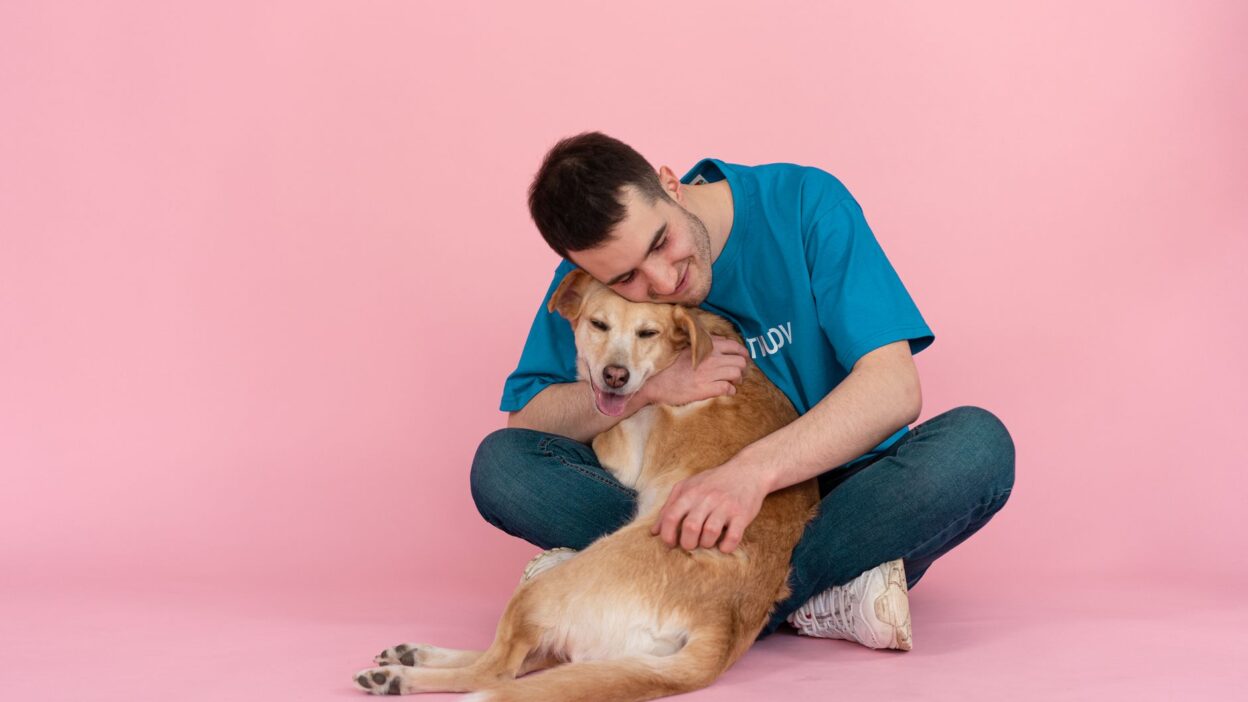 veterinarian consultation 7474345