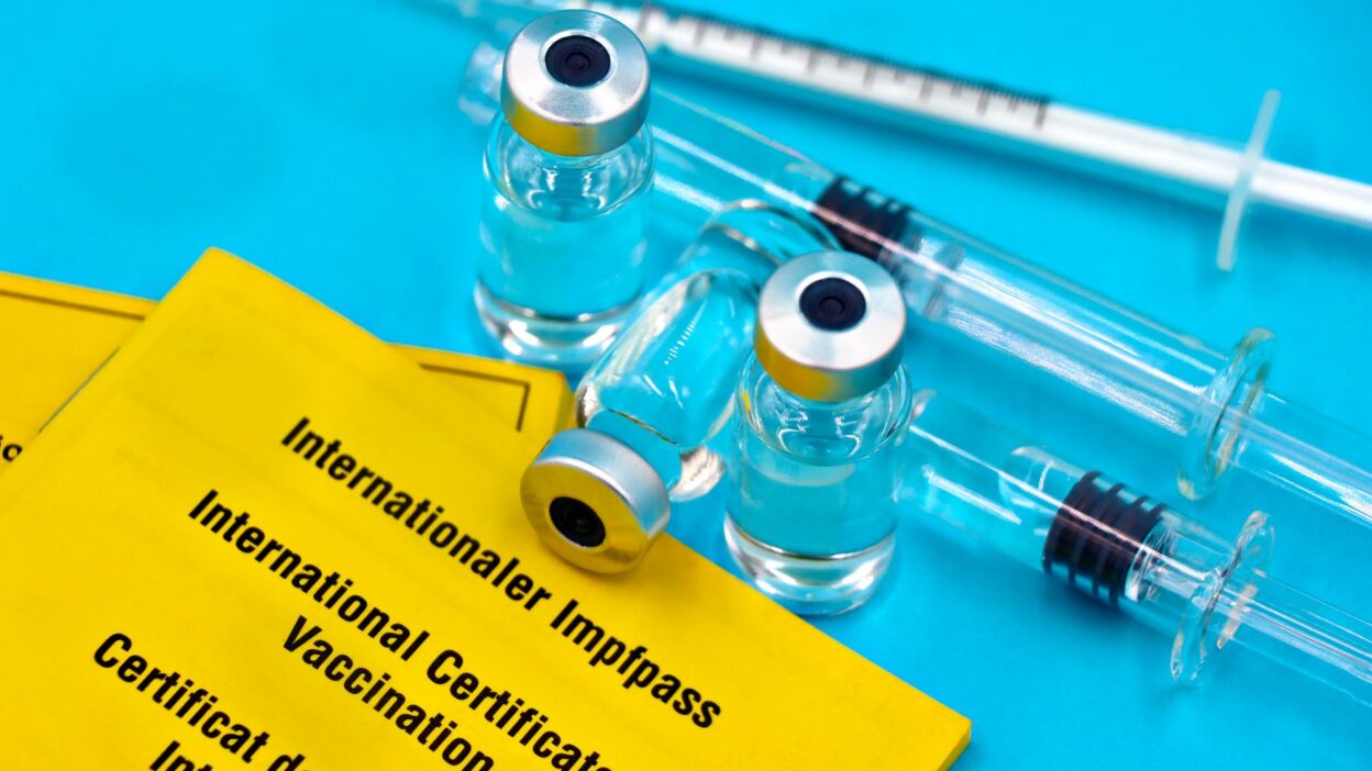 dog immune health 39461750
