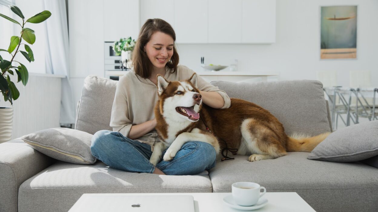 pet responsibility 4680247