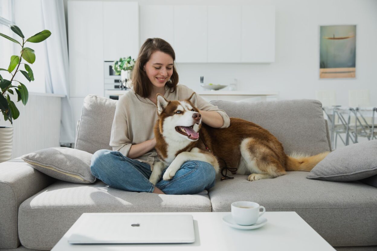 pet responsibility 4680247