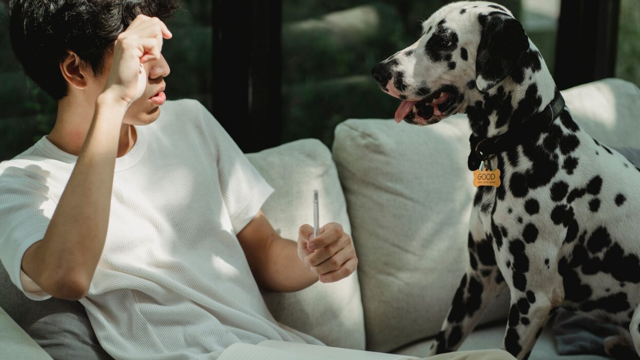 veterinary appointment 5483363