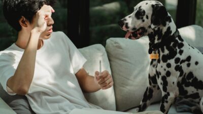 veterinary appointment 5483363